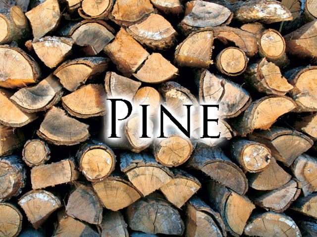 Pine & Camp Wood
