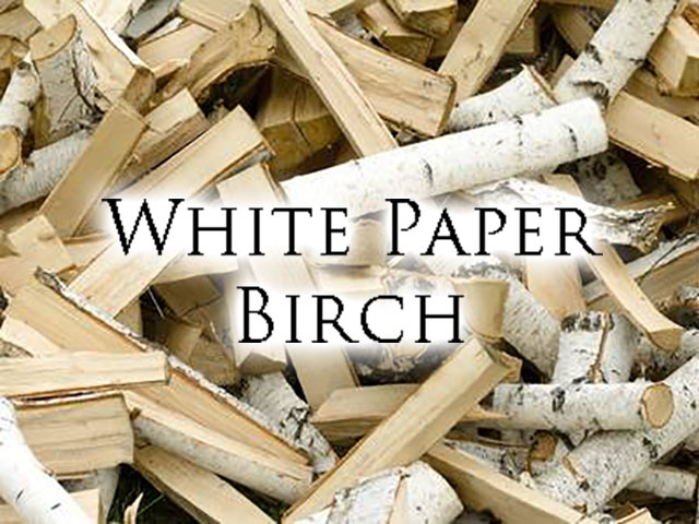 White Paper Birch